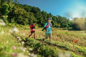 BIB: 
                            <button type="button" onclick="openModal(26638800)" class="btn btn-primary btn-sm float-right btn-popup" data-toggle="modal" data-target=".modal-high-quality">
                        <i class="fas fa-shopping-cart"></i> Add to Cart
                    </button>
                                            <button type="button" onclick="isThisMe(26638800, true)" class="btn btn-success btn-sm float-right btn-popup btn-isme hidden" data-toggle="tooltip" data-placement="bottom" title="นี่คือรูปของคุณใช่ไหม คลิกที่นี่เพื่อเอาเข้าอัลบั้ม">
                        <i class="fas fa-plus"></i> Add to album
                    </button>
                    <button type="button" onclick="isThisMe(26638800, false)" class="btn btn-warning btn-sm float-right btn-popup btn-isnotme hidden">
                        <i class="fas fa-ban"></i> Remove from album
                    </button>