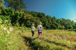 BIB: 
                            <button type="button" onclick="openModal(26694380)" class="btn btn-primary btn-sm float-right btn-popup" data-toggle="modal" data-target=".modal-high-quality">
                        <i class="fas fa-shopping-cart"></i> Add to Cart
                    </button>
                                            <button type="button" onclick="isThisMe(26694380, true)" class="btn btn-success btn-sm float-right btn-popup btn-isme hidden" data-toggle="tooltip" data-placement="bottom" title="นี่คือรูปของคุณใช่ไหม คลิกที่นี่เพื่อเอาเข้าอัลบั้ม">
                        <i class="fas fa-plus"></i> Add to album
                    </button>
                    <button type="button" onclick="isThisMe(26694380, false)" class="btn btn-warning btn-sm float-right btn-popup btn-isnotme hidden">
                        <i class="fas fa-ban"></i> Remove from album
                    </button>