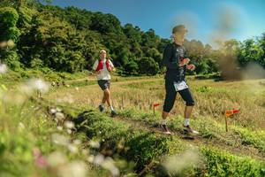 BIB: 
                            <button type="button" onclick="openModal(26698413)" class="btn btn-primary btn-sm float-right btn-popup" data-toggle="modal" data-target=".modal-high-quality">
                        <i class="fas fa-shopping-cart"></i> Add to Cart
                    </button>
                                            <button type="button" onclick="isThisMe(26698413, true)" class="btn btn-success btn-sm float-right btn-popup btn-isme hidden" data-toggle="tooltip" data-placement="bottom" title="นี่คือรูปของคุณใช่ไหม คลิกที่นี่เพื่อเอาเข้าอัลบั้ม">
                        <i class="fas fa-plus"></i> Add to album
                    </button>
                    <button type="button" onclick="isThisMe(26698413, false)" class="btn btn-warning btn-sm float-right btn-popup btn-isnotme hidden">
                        <i class="fas fa-ban"></i> Remove from album
                    </button>