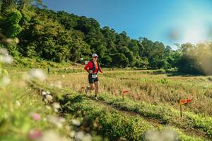 BIB: 
                            <button type="button" onclick="openModal(26638233)" class="btn btn-primary btn-sm float-right btn-popup" data-toggle="modal" data-target=".modal-high-quality">
                        <i class="fas fa-shopping-cart"></i> Add to Cart
                    </button>
                                            <button type="button" onclick="isThisMe(26638233, true)" class="btn btn-success btn-sm float-right btn-popup btn-isme hidden" data-toggle="tooltip" data-placement="bottom" title="นี่คือรูปของคุณใช่ไหม คลิกที่นี่เพื่อเอาเข้าอัลบั้ม">
                        <i class="fas fa-plus"></i> Add to album
                    </button>
                    <button type="button" onclick="isThisMe(26638233, false)" class="btn btn-warning btn-sm float-right btn-popup btn-isnotme hidden">
                        <i class="fas fa-ban"></i> Remove from album
                    </button>