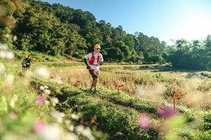 BIB: 
                            <button type="button" onclick="openModal(26633332)" class="btn btn-primary btn-sm float-right btn-popup" data-toggle="modal" data-target=".modal-high-quality">
                        <i class="fas fa-shopping-cart"></i> Add to Cart
                    </button>
                                            <button type="button" onclick="isThisMe(26633332, true)" class="btn btn-success btn-sm float-right btn-popup btn-isme hidden" data-toggle="tooltip" data-placement="bottom" title="นี่คือรูปของคุณใช่ไหม คลิกที่นี่เพื่อเอาเข้าอัลบั้ม">
                        <i class="fas fa-plus"></i> Add to album
                    </button>
                    <button type="button" onclick="isThisMe(26633332, false)" class="btn btn-warning btn-sm float-right btn-popup btn-isnotme hidden">
                        <i class="fas fa-ban"></i> Remove from album
                    </button>