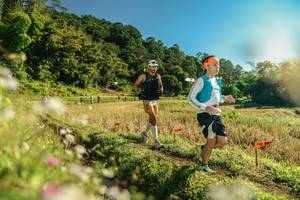 BIB: 
                            <button type="button" onclick="openModal(26637660)" class="btn btn-primary btn-sm float-right btn-popup" data-toggle="modal" data-target=".modal-high-quality">
                        <i class="fas fa-shopping-cart"></i> Add to Cart
                    </button>
                                            <button type="button" onclick="isThisMe(26637660, true)" class="btn btn-success btn-sm float-right btn-popup btn-isme hidden" data-toggle="tooltip" data-placement="bottom" title="นี่คือรูปของคุณใช่ไหม คลิกที่นี่เพื่อเอาเข้าอัลบั้ม">
                        <i class="fas fa-plus"></i> Add to album
                    </button>
                    <button type="button" onclick="isThisMe(26637660, false)" class="btn btn-warning btn-sm float-right btn-popup btn-isnotme hidden">
                        <i class="fas fa-ban"></i> Remove from album
                    </button>