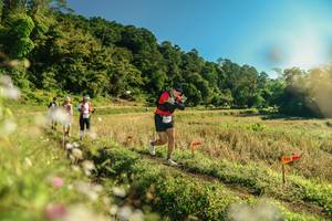 BIB: 
                            <button type="button" onclick="openModal(26638146)" class="btn btn-primary btn-sm float-right btn-popup" data-toggle="modal" data-target=".modal-high-quality">
                        <i class="fas fa-shopping-cart"></i> Add to Cart
                    </button>
                                            <button type="button" onclick="isThisMe(26638146, true)" class="btn btn-success btn-sm float-right btn-popup btn-isme hidden" data-toggle="tooltip" data-placement="bottom" title="นี่คือรูปของคุณใช่ไหม คลิกที่นี่เพื่อเอาเข้าอัลบั้ม">
                        <i class="fas fa-plus"></i> Add to album
                    </button>
                    <button type="button" onclick="isThisMe(26638146, false)" class="btn btn-warning btn-sm float-right btn-popup btn-isnotme hidden">
                        <i class="fas fa-ban"></i> Remove from album
                    </button>