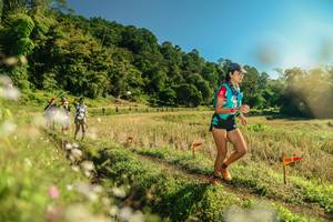 BIB: 
                            <button type="button" onclick="openModal(26679662)" class="btn btn-primary btn-sm float-right btn-popup" data-toggle="modal" data-target=".modal-high-quality">
                        <i class="fas fa-shopping-cart"></i> Add to Cart
                    </button>
                                            <button type="button" onclick="isThisMe(26679662, true)" class="btn btn-success btn-sm float-right btn-popup btn-isme hidden" data-toggle="tooltip" data-placement="bottom" title="นี่คือรูปของคุณใช่ไหม คลิกที่นี่เพื่อเอาเข้าอัลบั้ม">
                        <i class="fas fa-plus"></i> Add to album
                    </button>
                    <button type="button" onclick="isThisMe(26679662, false)" class="btn btn-warning btn-sm float-right btn-popup btn-isnotme hidden">
                        <i class="fas fa-ban"></i> Remove from album
                    </button>