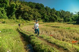 BIB: 
                            <button type="button" onclick="openModal(26694302)" class="btn btn-primary btn-sm float-right btn-popup" data-toggle="modal" data-target=".modal-high-quality">
                        <i class="fas fa-shopping-cart"></i> Add to Cart
                    </button>
                                            <button type="button" onclick="isThisMe(26694302, true)" class="btn btn-success btn-sm float-right btn-popup btn-isme hidden" data-toggle="tooltip" data-placement="bottom" title="นี่คือรูปของคุณใช่ไหม คลิกที่นี่เพื่อเอาเข้าอัลบั้ม">
                        <i class="fas fa-plus"></i> Add to album
                    </button>
                    <button type="button" onclick="isThisMe(26694302, false)" class="btn btn-warning btn-sm float-right btn-popup btn-isnotme hidden">
                        <i class="fas fa-ban"></i> Remove from album
                    </button>