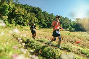 BIB: 
                            <button type="button" onclick="openModal(26637810)" class="btn btn-primary btn-sm float-right btn-popup" data-toggle="modal" data-target=".modal-high-quality">
                        <i class="fas fa-shopping-cart"></i> Add to Cart
                    </button>
                                            <button type="button" onclick="isThisMe(26637810, true)" class="btn btn-success btn-sm float-right btn-popup btn-isme hidden" data-toggle="tooltip" data-placement="bottom" title="นี่คือรูปของคุณใช่ไหม คลิกที่นี่เพื่อเอาเข้าอัลบั้ม">
                        <i class="fas fa-plus"></i> Add to album
                    </button>
                    <button type="button" onclick="isThisMe(26637810, false)" class="btn btn-warning btn-sm float-right btn-popup btn-isnotme hidden">
                        <i class="fas fa-ban"></i> Remove from album
                    </button>