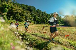 BIB: 
                            <button type="button" onclick="openModal(26689034)" class="btn btn-primary btn-sm float-right btn-popup" data-toggle="modal" data-target=".modal-high-quality">
                        <i class="fas fa-shopping-cart"></i> Add to Cart
                    </button>
                                            <button type="button" onclick="isThisMe(26689034, true)" class="btn btn-success btn-sm float-right btn-popup btn-isme hidden" data-toggle="tooltip" data-placement="bottom" title="นี่คือรูปของคุณใช่ไหม คลิกที่นี่เพื่อเอาเข้าอัลบั้ม">
                        <i class="fas fa-plus"></i> Add to album
                    </button>
                    <button type="button" onclick="isThisMe(26689034, false)" class="btn btn-warning btn-sm float-right btn-popup btn-isnotme hidden">
                        <i class="fas fa-ban"></i> Remove from album
                    </button>