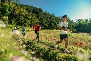 BIB: 
                            <button type="button" onclick="openModal(26637193)" class="btn btn-primary btn-sm float-right btn-popup" data-toggle="modal" data-target=".modal-high-quality">
                        <i class="fas fa-shopping-cart"></i> Add to Cart
                    </button>
                                            <button type="button" onclick="isThisMe(26637193, true)" class="btn btn-success btn-sm float-right btn-popup btn-isme hidden" data-toggle="tooltip" data-placement="bottom" title="นี่คือรูปของคุณใช่ไหม คลิกที่นี่เพื่อเอาเข้าอัลบั้ม">
                        <i class="fas fa-plus"></i> Add to album
                    </button>
                    <button type="button" onclick="isThisMe(26637193, false)" class="btn btn-warning btn-sm float-right btn-popup btn-isnotme hidden">
                        <i class="fas fa-ban"></i> Remove from album
                    </button>