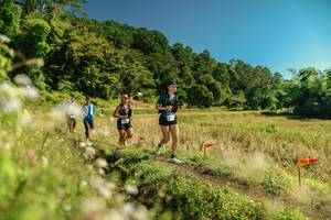 BIB: 
                            <button type="button" onclick="openModal(26707372)" class="btn btn-primary btn-sm float-right btn-popup" data-toggle="modal" data-target=".modal-high-quality">
                        <i class="fas fa-shopping-cart"></i> Add to Cart
                    </button>
                                            <button type="button" onclick="isThisMe(26707372, true)" class="btn btn-success btn-sm float-right btn-popup btn-isme hidden" data-toggle="tooltip" data-placement="bottom" title="นี่คือรูปของคุณใช่ไหม คลิกที่นี่เพื่อเอาเข้าอัลบั้ม">
                        <i class="fas fa-plus"></i> Add to album
                    </button>
                    <button type="button" onclick="isThisMe(26707372, false)" class="btn btn-warning btn-sm float-right btn-popup btn-isnotme hidden">
                        <i class="fas fa-ban"></i> Remove from album
                    </button>