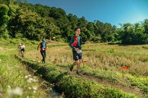 BIB: 
                            <button type="button" onclick="openModal(26702384)" class="btn btn-primary btn-sm float-right btn-popup" data-toggle="modal" data-target=".modal-high-quality">
                        <i class="fas fa-shopping-cart"></i> Add to Cart
                    </button>
                                            <button type="button" onclick="isThisMe(26702384, true)" class="btn btn-success btn-sm float-right btn-popup btn-isme hidden" data-toggle="tooltip" data-placement="bottom" title="นี่คือรูปของคุณใช่ไหม คลิกที่นี่เพื่อเอาเข้าอัลบั้ม">
                        <i class="fas fa-plus"></i> Add to album
                    </button>
                    <button type="button" onclick="isThisMe(26702384, false)" class="btn btn-warning btn-sm float-right btn-popup btn-isnotme hidden">
                        <i class="fas fa-ban"></i> Remove from album
                    </button>