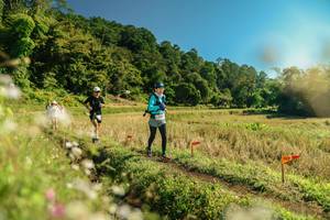 BIB: 
                            <button type="button" onclick="openModal(26687817)" class="btn btn-primary btn-sm float-right btn-popup" data-toggle="modal" data-target=".modal-high-quality">
                        <i class="fas fa-shopping-cart"></i> Add to Cart
                    </button>
                                            <button type="button" onclick="isThisMe(26687817, true)" class="btn btn-success btn-sm float-right btn-popup btn-isme hidden" data-toggle="tooltip" data-placement="bottom" title="นี่คือรูปของคุณใช่ไหม คลิกที่นี่เพื่อเอาเข้าอัลบั้ม">
                        <i class="fas fa-plus"></i> Add to album
                    </button>
                    <button type="button" onclick="isThisMe(26687817, false)" class="btn btn-warning btn-sm float-right btn-popup btn-isnotme hidden">
                        <i class="fas fa-ban"></i> Remove from album
                    </button>