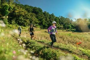 BIB: 
                            <button type="button" onclick="openModal(26680777)" class="btn btn-primary btn-sm float-right btn-popup" data-toggle="modal" data-target=".modal-high-quality">
                        <i class="fas fa-shopping-cart"></i> Add to Cart
                    </button>
                                            <button type="button" onclick="isThisMe(26680777, true)" class="btn btn-success btn-sm float-right btn-popup btn-isme hidden" data-toggle="tooltip" data-placement="bottom" title="นี่คือรูปของคุณใช่ไหม คลิกที่นี่เพื่อเอาเข้าอัลบั้ม">
                        <i class="fas fa-plus"></i> Add to album
                    </button>
                    <button type="button" onclick="isThisMe(26680777, false)" class="btn btn-warning btn-sm float-right btn-popup btn-isnotme hidden">
                        <i class="fas fa-ban"></i> Remove from album
                    </button>