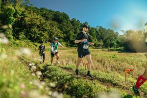 BIB: 
                            <button type="button" onclick="openModal(26683382)" class="btn btn-primary btn-sm float-right btn-popup" data-toggle="modal" data-target=".modal-high-quality">
                        <i class="fas fa-shopping-cart"></i> Add to Cart
                    </button>
                                            <button type="button" onclick="isThisMe(26683382, true)" class="btn btn-success btn-sm float-right btn-popup btn-isme hidden" data-toggle="tooltip" data-placement="bottom" title="นี่คือรูปของคุณใช่ไหม คลิกที่นี่เพื่อเอาเข้าอัลบั้ม">
                        <i class="fas fa-plus"></i> Add to album
                    </button>
                    <button type="button" onclick="isThisMe(26683382, false)" class="btn btn-warning btn-sm float-right btn-popup btn-isnotme hidden">
                        <i class="fas fa-ban"></i> Remove from album
                    </button>