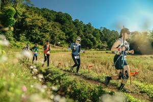 BIB: 
                            <button type="button" onclick="openModal(26679912)" class="btn btn-primary btn-sm float-right btn-popup" data-toggle="modal" data-target=".modal-high-quality">
                        <i class="fas fa-shopping-cart"></i> Add to Cart
                    </button>
                                            <button type="button" onclick="isThisMe(26679912, true)" class="btn btn-success btn-sm float-right btn-popup btn-isme hidden" data-toggle="tooltip" data-placement="bottom" title="นี่คือรูปของคุณใช่ไหม คลิกที่นี่เพื่อเอาเข้าอัลบั้ม">
                        <i class="fas fa-plus"></i> Add to album
                    </button>
                    <button type="button" onclick="isThisMe(26679912, false)" class="btn btn-warning btn-sm float-right btn-popup btn-isnotme hidden">
                        <i class="fas fa-ban"></i> Remove from album
                    </button>