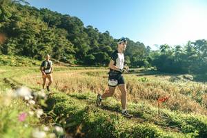 BIB: 
                            <button type="button" onclick="openModal(26633026)" class="btn btn-primary btn-sm float-right btn-popup" data-toggle="modal" data-target=".modal-high-quality">
                        <i class="fas fa-shopping-cart"></i> Add to Cart
                    </button>
                                            <button type="button" onclick="isThisMe(26633026, true)" class="btn btn-success btn-sm float-right btn-popup btn-isme hidden" data-toggle="tooltip" data-placement="bottom" title="นี่คือรูปของคุณใช่ไหม คลิกที่นี่เพื่อเอาเข้าอัลบั้ม">
                        <i class="fas fa-plus"></i> Add to album
                    </button>
                    <button type="button" onclick="isThisMe(26633026, false)" class="btn btn-warning btn-sm float-right btn-popup btn-isnotme hidden">
                        <i class="fas fa-ban"></i> Remove from album
                    </button>