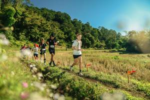 BIB: 
                            <button type="button" onclick="openModal(26638989)" class="btn btn-primary btn-sm float-right btn-popup" data-toggle="modal" data-target=".modal-high-quality">
                        <i class="fas fa-shopping-cart"></i> Add to Cart
                    </button>
                                            <button type="button" onclick="isThisMe(26638989, true)" class="btn btn-success btn-sm float-right btn-popup btn-isme hidden" data-toggle="tooltip" data-placement="bottom" title="นี่คือรูปของคุณใช่ไหม คลิกที่นี่เพื่อเอาเข้าอัลบั้ม">
                        <i class="fas fa-plus"></i> Add to album
                    </button>
                    <button type="button" onclick="isThisMe(26638989, false)" class="btn btn-warning btn-sm float-right btn-popup btn-isnotme hidden">
                        <i class="fas fa-ban"></i> Remove from album
                    </button>