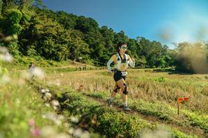 BIB: 
                            <button type="button" onclick="openModal(26690850)" class="btn btn-primary btn-sm float-right btn-popup" data-toggle="modal" data-target=".modal-high-quality">
                        <i class="fas fa-shopping-cart"></i> Add to Cart
                    </button>
                                            <button type="button" onclick="isThisMe(26690850, true)" class="btn btn-success btn-sm float-right btn-popup btn-isme hidden" data-toggle="tooltip" data-placement="bottom" title="นี่คือรูปของคุณใช่ไหม คลิกที่นี่เพื่อเอาเข้าอัลบั้ม">
                        <i class="fas fa-plus"></i> Add to album
                    </button>
                    <button type="button" onclick="isThisMe(26690850, false)" class="btn btn-warning btn-sm float-right btn-popup btn-isnotme hidden">
                        <i class="fas fa-ban"></i> Remove from album
                    </button>