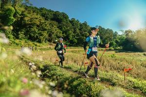 BIB: 
                            <button type="button" onclick="openModal(26638292)" class="btn btn-primary btn-sm float-right btn-popup" data-toggle="modal" data-target=".modal-high-quality">
                        <i class="fas fa-shopping-cart"></i> Add to Cart
                    </button>
                                            <button type="button" onclick="isThisMe(26638292, true)" class="btn btn-success btn-sm float-right btn-popup btn-isme hidden" data-toggle="tooltip" data-placement="bottom" title="นี่คือรูปของคุณใช่ไหม คลิกที่นี่เพื่อเอาเข้าอัลบั้ม">
                        <i class="fas fa-plus"></i> Add to album
                    </button>
                    <button type="button" onclick="isThisMe(26638292, false)" class="btn btn-warning btn-sm float-right btn-popup btn-isnotme hidden">
                        <i class="fas fa-ban"></i> Remove from album
                    </button>