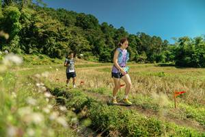 BIB: 
                            <button type="button" onclick="openModal(26726341)" class="btn btn-primary btn-sm float-right btn-popup" data-toggle="modal" data-target=".modal-high-quality">
                        <i class="fas fa-shopping-cart"></i> Add to Cart
                    </button>
                                            <button type="button" onclick="isThisMe(26726341, true)" class="btn btn-success btn-sm float-right btn-popup btn-isme hidden" data-toggle="tooltip" data-placement="bottom" title="นี่คือรูปของคุณใช่ไหม คลิกที่นี่เพื่อเอาเข้าอัลบั้ม">
                        <i class="fas fa-plus"></i> Add to album
                    </button>
                    <button type="button" onclick="isThisMe(26726341, false)" class="btn btn-warning btn-sm float-right btn-popup btn-isnotme hidden">
                        <i class="fas fa-ban"></i> Remove from album
                    </button>