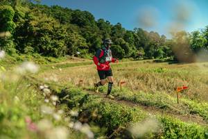 BIB: 
                            <button type="button" onclick="openModal(26699662)" class="btn btn-primary btn-sm float-right btn-popup" data-toggle="modal" data-target=".modal-high-quality">
                        <i class="fas fa-shopping-cart"></i> Add to Cart
                    </button>
                                            <button type="button" onclick="isThisMe(26699662, true)" class="btn btn-success btn-sm float-right btn-popup btn-isme hidden" data-toggle="tooltip" data-placement="bottom" title="นี่คือรูปของคุณใช่ไหม คลิกที่นี่เพื่อเอาเข้าอัลบั้ม">
                        <i class="fas fa-plus"></i> Add to album
                    </button>
                    <button type="button" onclick="isThisMe(26699662, false)" class="btn btn-warning btn-sm float-right btn-popup btn-isnotme hidden">
                        <i class="fas fa-ban"></i> Remove from album
                    </button>