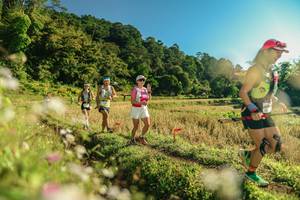 BIB: 
                            <button type="button" onclick="openModal(26637028)" class="btn btn-primary btn-sm float-right btn-popup" data-toggle="modal" data-target=".modal-high-quality">
                        <i class="fas fa-shopping-cart"></i> Add to Cart
                    </button>
                                            <button type="button" onclick="isThisMe(26637028, true)" class="btn btn-success btn-sm float-right btn-popup btn-isme hidden" data-toggle="tooltip" data-placement="bottom" title="นี่คือรูปของคุณใช่ไหม คลิกที่นี่เพื่อเอาเข้าอัลบั้ม">
                        <i class="fas fa-plus"></i> Add to album
                    </button>
                    <button type="button" onclick="isThisMe(26637028, false)" class="btn btn-warning btn-sm float-right btn-popup btn-isnotme hidden">
                        <i class="fas fa-ban"></i> Remove from album
                    </button>