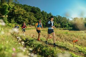 BIB: 
                            <button type="button" onclick="openModal(26678634)" class="btn btn-primary btn-sm float-right btn-popup" data-toggle="modal" data-target=".modal-high-quality">
                        <i class="fas fa-shopping-cart"></i> Add to Cart
                    </button>
                                            <button type="button" onclick="isThisMe(26678634, true)" class="btn btn-success btn-sm float-right btn-popup btn-isme hidden" data-toggle="tooltip" data-placement="bottom" title="นี่คือรูปของคุณใช่ไหม คลิกที่นี่เพื่อเอาเข้าอัลบั้ม">
                        <i class="fas fa-plus"></i> Add to album
                    </button>
                    <button type="button" onclick="isThisMe(26678634, false)" class="btn btn-warning btn-sm float-right btn-popup btn-isnotme hidden">
                        <i class="fas fa-ban"></i> Remove from album
                    </button>