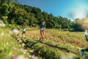 BIB: 
                            <button type="button" onclick="openModal(26638033)" class="btn btn-primary btn-sm float-right btn-popup" data-toggle="modal" data-target=".modal-high-quality">
                        <i class="fas fa-shopping-cart"></i> Add to Cart
                    </button>
                                            <button type="button" onclick="isThisMe(26638033, true)" class="btn btn-success btn-sm float-right btn-popup btn-isme hidden" data-toggle="tooltip" data-placement="bottom" title="นี่คือรูปของคุณใช่ไหม คลิกที่นี่เพื่อเอาเข้าอัลบั้ม">
                        <i class="fas fa-plus"></i> Add to album
                    </button>
                    <button type="button" onclick="isThisMe(26638033, false)" class="btn btn-warning btn-sm float-right btn-popup btn-isnotme hidden">
                        <i class="fas fa-ban"></i> Remove from album
                    </button>