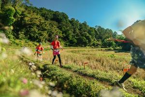 BIB: 
                            <button type="button" onclick="openModal(26638533)" class="btn btn-primary btn-sm float-right btn-popup" data-toggle="modal" data-target=".modal-high-quality">
                        <i class="fas fa-shopping-cart"></i> Add to Cart
                    </button>
                                            <button type="button" onclick="isThisMe(26638533, true)" class="btn btn-success btn-sm float-right btn-popup btn-isme hidden" data-toggle="tooltip" data-placement="bottom" title="นี่คือรูปของคุณใช่ไหม คลิกที่นี่เพื่อเอาเข้าอัลบั้ม">
                        <i class="fas fa-plus"></i> Add to album
                    </button>
                    <button type="button" onclick="isThisMe(26638533, false)" class="btn btn-warning btn-sm float-right btn-popup btn-isnotme hidden">
                        <i class="fas fa-ban"></i> Remove from album
                    </button>