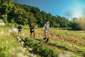 BIB: 
                            <button type="button" onclick="openModal(26679666)" class="btn btn-primary btn-sm float-right btn-popup" data-toggle="modal" data-target=".modal-high-quality">
                        <i class="fas fa-shopping-cart"></i> Add to Cart
                    </button>
                                            <button type="button" onclick="isThisMe(26679666, true)" class="btn btn-success btn-sm float-right btn-popup btn-isme hidden" data-toggle="tooltip" data-placement="bottom" title="นี่คือรูปของคุณใช่ไหม คลิกที่นี่เพื่อเอาเข้าอัลบั้ม">
                        <i class="fas fa-plus"></i> Add to album
                    </button>
                    <button type="button" onclick="isThisMe(26679666, false)" class="btn btn-warning btn-sm float-right btn-popup btn-isnotme hidden">
                        <i class="fas fa-ban"></i> Remove from album
                    </button>