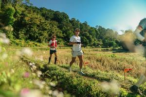 BIB: 
                            <button type="button" onclick="openModal(26636554)" class="btn btn-primary btn-sm float-right btn-popup" data-toggle="modal" data-target=".modal-high-quality">
                        <i class="fas fa-shopping-cart"></i> Add to Cart
                    </button>
                                            <button type="button" onclick="isThisMe(26636554, true)" class="btn btn-success btn-sm float-right btn-popup btn-isme hidden" data-toggle="tooltip" data-placement="bottom" title="นี่คือรูปของคุณใช่ไหม คลิกที่นี่เพื่อเอาเข้าอัลบั้ม">
                        <i class="fas fa-plus"></i> Add to album
                    </button>
                    <button type="button" onclick="isThisMe(26636554, false)" class="btn btn-warning btn-sm float-right btn-popup btn-isnotme hidden">
                        <i class="fas fa-ban"></i> Remove from album
                    </button>