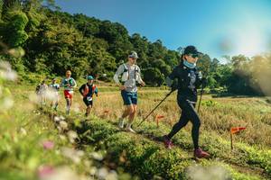 BIB: 
                            <button type="button" onclick="openModal(26637602)" class="btn btn-primary btn-sm float-right btn-popup" data-toggle="modal" data-target=".modal-high-quality">
                        <i class="fas fa-shopping-cart"></i> Add to Cart
                    </button>
                                            <button type="button" onclick="isThisMe(26637602, true)" class="btn btn-success btn-sm float-right btn-popup btn-isme hidden" data-toggle="tooltip" data-placement="bottom" title="นี่คือรูปของคุณใช่ไหม คลิกที่นี่เพื่อเอาเข้าอัลบั้ม">
                        <i class="fas fa-plus"></i> Add to album
                    </button>
                    <button type="button" onclick="isThisMe(26637602, false)" class="btn btn-warning btn-sm float-right btn-popup btn-isnotme hidden">
                        <i class="fas fa-ban"></i> Remove from album
                    </button>