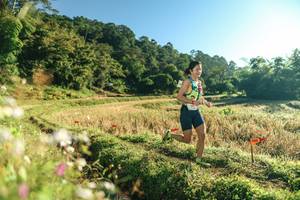 BIB: 
                            <button type="button" onclick="openModal(26632758)" class="btn btn-primary btn-sm float-right btn-popup" data-toggle="modal" data-target=".modal-high-quality">
                        <i class="fas fa-shopping-cart"></i> Add to Cart
                    </button>
                                            <button type="button" onclick="isThisMe(26632758, true)" class="btn btn-success btn-sm float-right btn-popup btn-isme hidden" data-toggle="tooltip" data-placement="bottom" title="นี่คือรูปของคุณใช่ไหม คลิกที่นี่เพื่อเอาเข้าอัลบั้ม">
                        <i class="fas fa-plus"></i> Add to album
                    </button>
                    <button type="button" onclick="isThisMe(26632758, false)" class="btn btn-warning btn-sm float-right btn-popup btn-isnotme hidden">
                        <i class="fas fa-ban"></i> Remove from album
                    </button>