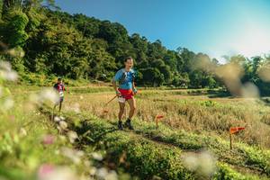 BIB: 
                            <button type="button" onclick="openModal(26636667)" class="btn btn-primary btn-sm float-right btn-popup" data-toggle="modal" data-target=".modal-high-quality">
                        <i class="fas fa-shopping-cart"></i> Add to Cart
                    </button>
                                            <button type="button" onclick="isThisMe(26636667, true)" class="btn btn-success btn-sm float-right btn-popup btn-isme hidden" data-toggle="tooltip" data-placement="bottom" title="นี่คือรูปของคุณใช่ไหม คลิกที่นี่เพื่อเอาเข้าอัลบั้ม">
                        <i class="fas fa-plus"></i> Add to album
                    </button>
                    <button type="button" onclick="isThisMe(26636667, false)" class="btn btn-warning btn-sm float-right btn-popup btn-isnotme hidden">
                        <i class="fas fa-ban"></i> Remove from album
                    </button>