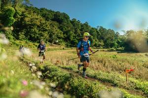 BIB: 
                            <button type="button" onclick="openModal(26638846)" class="btn btn-primary btn-sm float-right btn-popup" data-toggle="modal" data-target=".modal-high-quality">
                        <i class="fas fa-shopping-cart"></i> Add to Cart
                    </button>
                                            <button type="button" onclick="isThisMe(26638846, true)" class="btn btn-success btn-sm float-right btn-popup btn-isme hidden" data-toggle="tooltip" data-placement="bottom" title="นี่คือรูปของคุณใช่ไหม คลิกที่นี่เพื่อเอาเข้าอัลบั้ม">
                        <i class="fas fa-plus"></i> Add to album
                    </button>
                    <button type="button" onclick="isThisMe(26638846, false)" class="btn btn-warning btn-sm float-right btn-popup btn-isnotme hidden">
                        <i class="fas fa-ban"></i> Remove from album
                    </button>