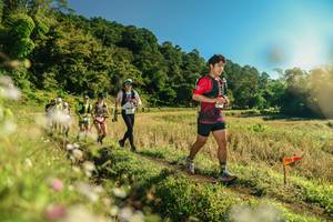 BIB: 
                            <button type="button" onclick="openModal(26638402)" class="btn btn-primary btn-sm float-right btn-popup" data-toggle="modal" data-target=".modal-high-quality">
                        <i class="fas fa-shopping-cart"></i> Add to Cart
                    </button>
                                            <button type="button" onclick="isThisMe(26638402, true)" class="btn btn-success btn-sm float-right btn-popup btn-isme hidden" data-toggle="tooltip" data-placement="bottom" title="นี่คือรูปของคุณใช่ไหม คลิกที่นี่เพื่อเอาเข้าอัลบั้ม">
                        <i class="fas fa-plus"></i> Add to album
                    </button>
                    <button type="button" onclick="isThisMe(26638402, false)" class="btn btn-warning btn-sm float-right btn-popup btn-isnotme hidden">
                        <i class="fas fa-ban"></i> Remove from album
                    </button>