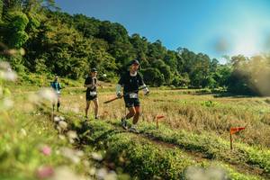 BIB: 
                            <button type="button" onclick="openModal(26638560)" class="btn btn-primary btn-sm float-right btn-popup" data-toggle="modal" data-target=".modal-high-quality">
                        <i class="fas fa-shopping-cart"></i> Add to Cart
                    </button>
                                            <button type="button" onclick="isThisMe(26638560, true)" class="btn btn-success btn-sm float-right btn-popup btn-isme hidden" data-toggle="tooltip" data-placement="bottom" title="นี่คือรูปของคุณใช่ไหม คลิกที่นี่เพื่อเอาเข้าอัลบั้ม">
                        <i class="fas fa-plus"></i> Add to album
                    </button>
                    <button type="button" onclick="isThisMe(26638560, false)" class="btn btn-warning btn-sm float-right btn-popup btn-isnotme hidden">
                        <i class="fas fa-ban"></i> Remove from album
                    </button>