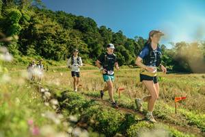 BIB: 
                            <button type="button" onclick="openModal(26691828)" class="btn btn-primary btn-sm float-right btn-popup" data-toggle="modal" data-target=".modal-high-quality">
                        <i class="fas fa-shopping-cart"></i> Add to Cart
                    </button>
                                            <button type="button" onclick="isThisMe(26691828, true)" class="btn btn-success btn-sm float-right btn-popup btn-isme hidden" data-toggle="tooltip" data-placement="bottom" title="นี่คือรูปของคุณใช่ไหม คลิกที่นี่เพื่อเอาเข้าอัลบั้ม">
                        <i class="fas fa-plus"></i> Add to album
                    </button>
                    <button type="button" onclick="isThisMe(26691828, false)" class="btn btn-warning btn-sm float-right btn-popup btn-isnotme hidden">
                        <i class="fas fa-ban"></i> Remove from album
                    </button>