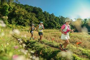 BIB: 
                            <button type="button" onclick="openModal(26637031)" class="btn btn-primary btn-sm float-right btn-popup" data-toggle="modal" data-target=".modal-high-quality">
                        <i class="fas fa-shopping-cart"></i> Add to Cart
                    </button>
                                            <button type="button" onclick="isThisMe(26637031, true)" class="btn btn-success btn-sm float-right btn-popup btn-isme hidden" data-toggle="tooltip" data-placement="bottom" title="นี่คือรูปของคุณใช่ไหม คลิกที่นี่เพื่อเอาเข้าอัลบั้ม">
                        <i class="fas fa-plus"></i> Add to album
                    </button>
                    <button type="button" onclick="isThisMe(26637031, false)" class="btn btn-warning btn-sm float-right btn-popup btn-isnotme hidden">
                        <i class="fas fa-ban"></i> Remove from album
                    </button>