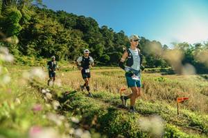 BIB: 
                            <button type="button" onclick="openModal(26636810)" class="btn btn-primary btn-sm float-right btn-popup" data-toggle="modal" data-target=".modal-high-quality">
                        <i class="fas fa-shopping-cart"></i> Add to Cart
                    </button>
                                            <button type="button" onclick="isThisMe(26636810, true)" class="btn btn-success btn-sm float-right btn-popup btn-isme hidden" data-toggle="tooltip" data-placement="bottom" title="นี่คือรูปของคุณใช่ไหม คลิกที่นี่เพื่อเอาเข้าอัลบั้ม">
                        <i class="fas fa-plus"></i> Add to album
                    </button>
                    <button type="button" onclick="isThisMe(26636810, false)" class="btn btn-warning btn-sm float-right btn-popup btn-isnotme hidden">
                        <i class="fas fa-ban"></i> Remove from album
                    </button>