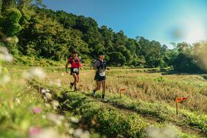 BIB: 
                            <button type="button" onclick="openModal(26637475)" class="btn btn-primary btn-sm float-right btn-popup" data-toggle="modal" data-target=".modal-high-quality">
                        <i class="fas fa-shopping-cart"></i> Add to Cart
                    </button>
                                            <button type="button" onclick="isThisMe(26637475, true)" class="btn btn-success btn-sm float-right btn-popup btn-isme hidden" data-toggle="tooltip" data-placement="bottom" title="นี่คือรูปของคุณใช่ไหม คลิกที่นี่เพื่อเอาเข้าอัลบั้ม">
                        <i class="fas fa-plus"></i> Add to album
                    </button>
                    <button type="button" onclick="isThisMe(26637475, false)" class="btn btn-warning btn-sm float-right btn-popup btn-isnotme hidden">
                        <i class="fas fa-ban"></i> Remove from album
                    </button>