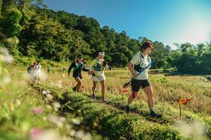 BIB: 
                            <button type="button" onclick="openModal(26637183)" class="btn btn-primary btn-sm float-right btn-popup" data-toggle="modal" data-target=".modal-high-quality">
                        <i class="fas fa-shopping-cart"></i> Add to Cart
                    </button>
                                            <button type="button" onclick="isThisMe(26637183, true)" class="btn btn-success btn-sm float-right btn-popup btn-isme hidden" data-toggle="tooltip" data-placement="bottom" title="นี่คือรูปของคุณใช่ไหม คลิกที่นี่เพื่อเอาเข้าอัลบั้ม">
                        <i class="fas fa-plus"></i> Add to album
                    </button>
                    <button type="button" onclick="isThisMe(26637183, false)" class="btn btn-warning btn-sm float-right btn-popup btn-isnotme hidden">
                        <i class="fas fa-ban"></i> Remove from album
                    </button>