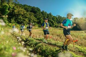 BIB: 
                            <button type="button" onclick="openModal(26646215)" class="btn btn-primary btn-sm float-right btn-popup" data-toggle="modal" data-target=".modal-high-quality">
                        <i class="fas fa-shopping-cart"></i> Add to Cart
                    </button>
                                            <button type="button" onclick="isThisMe(26646215, true)" class="btn btn-success btn-sm float-right btn-popup btn-isme hidden" data-toggle="tooltip" data-placement="bottom" title="นี่คือรูปของคุณใช่ไหม คลิกที่นี่เพื่อเอาเข้าอัลบั้ม">
                        <i class="fas fa-plus"></i> Add to album
                    </button>
                    <button type="button" onclick="isThisMe(26646215, false)" class="btn btn-warning btn-sm float-right btn-popup btn-isnotme hidden">
                        <i class="fas fa-ban"></i> Remove from album
                    </button>