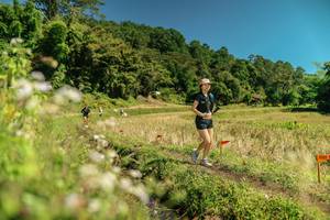 BIB: 
                            <button type="button" onclick="openModal(26734085)" class="btn btn-primary btn-sm float-right btn-popup" data-toggle="modal" data-target=".modal-high-quality">
                        <i class="fas fa-shopping-cart"></i> Add to Cart
                    </button>
                                            <button type="button" onclick="isThisMe(26734085, true)" class="btn btn-success btn-sm float-right btn-popup btn-isme hidden" data-toggle="tooltip" data-placement="bottom" title="นี่คือรูปของคุณใช่ไหม คลิกที่นี่เพื่อเอาเข้าอัลบั้ม">
                        <i class="fas fa-plus"></i> Add to album
                    </button>
                    <button type="button" onclick="isThisMe(26734085, false)" class="btn btn-warning btn-sm float-right btn-popup btn-isnotme hidden">
                        <i class="fas fa-ban"></i> Remove from album
                    </button>