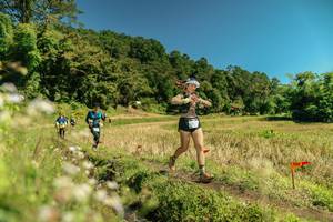 BIB: 
                            <button type="button" onclick="openModal(26733179)" class="btn btn-primary btn-sm float-right btn-popup" data-toggle="modal" data-target=".modal-high-quality">
                        <i class="fas fa-shopping-cart"></i> Add to Cart
                    </button>
                                            <button type="button" onclick="isThisMe(26733179, true)" class="btn btn-success btn-sm float-right btn-popup btn-isme hidden" data-toggle="tooltip" data-placement="bottom" title="นี่คือรูปของคุณใช่ไหม คลิกที่นี่เพื่อเอาเข้าอัลบั้ม">
                        <i class="fas fa-plus"></i> Add to album
                    </button>
                    <button type="button" onclick="isThisMe(26733179, false)" class="btn btn-warning btn-sm float-right btn-popup btn-isnotme hidden">
                        <i class="fas fa-ban"></i> Remove from album
                    </button>