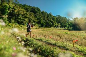 BIB: 
                            <button type="button" onclick="openModal(26655467)" class="btn btn-primary btn-sm float-right btn-popup" data-toggle="modal" data-target=".modal-high-quality">
                        <i class="fas fa-shopping-cart"></i> Add to Cart
                    </button>
                                            <button type="button" onclick="isThisMe(26655467, true)" class="btn btn-success btn-sm float-right btn-popup btn-isme hidden" data-toggle="tooltip" data-placement="bottom" title="นี่คือรูปของคุณใช่ไหม คลิกที่นี่เพื่อเอาเข้าอัลบั้ม">
                        <i class="fas fa-plus"></i> Add to album
                    </button>
                    <button type="button" onclick="isThisMe(26655467, false)" class="btn btn-warning btn-sm float-right btn-popup btn-isnotme hidden">
                        <i class="fas fa-ban"></i> Remove from album
                    </button>