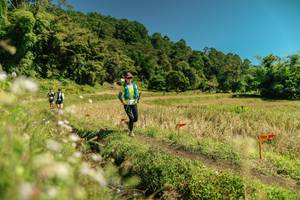 BIB: 
                            <button type="button" onclick="openModal(26730520)" class="btn btn-primary btn-sm float-right btn-popup" data-toggle="modal" data-target=".modal-high-quality">
                        <i class="fas fa-shopping-cart"></i> Add to Cart
                    </button>
                                            <button type="button" onclick="isThisMe(26730520, true)" class="btn btn-success btn-sm float-right btn-popup btn-isme hidden" data-toggle="tooltip" data-placement="bottom" title="นี่คือรูปของคุณใช่ไหม คลิกที่นี่เพื่อเอาเข้าอัลบั้ม">
                        <i class="fas fa-plus"></i> Add to album
                    </button>
                    <button type="button" onclick="isThisMe(26730520, false)" class="btn btn-warning btn-sm float-right btn-popup btn-isnotme hidden">
                        <i class="fas fa-ban"></i> Remove from album
                    </button>