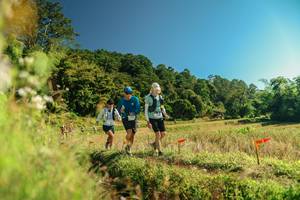 BIB: 
                            <button type="button" onclick="openModal(26694332)" class="btn btn-primary btn-sm float-right btn-popup" data-toggle="modal" data-target=".modal-high-quality">
                        <i class="fas fa-shopping-cart"></i> Add to Cart
                    </button>
                                            <button type="button" onclick="isThisMe(26694332, true)" class="btn btn-success btn-sm float-right btn-popup btn-isme hidden" data-toggle="tooltip" data-placement="bottom" title="นี่คือรูปของคุณใช่ไหม คลิกที่นี่เพื่อเอาเข้าอัลบั้ม">
                        <i class="fas fa-plus"></i> Add to album
                    </button>
                    <button type="button" onclick="isThisMe(26694332, false)" class="btn btn-warning btn-sm float-right btn-popup btn-isnotme hidden">
                        <i class="fas fa-ban"></i> Remove from album
                    </button>