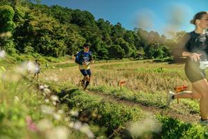 BIB: 
                            <button type="button" onclick="openModal(26698182)" class="btn btn-primary btn-sm float-right btn-popup" data-toggle="modal" data-target=".modal-high-quality">
                        <i class="fas fa-shopping-cart"></i> Add to Cart
                    </button>
                                            <button type="button" onclick="isThisMe(26698182, true)" class="btn btn-success btn-sm float-right btn-popup btn-isme hidden" data-toggle="tooltip" data-placement="bottom" title="นี่คือรูปของคุณใช่ไหม คลิกที่นี่เพื่อเอาเข้าอัลบั้ม">
                        <i class="fas fa-plus"></i> Add to album
                    </button>
                    <button type="button" onclick="isThisMe(26698182, false)" class="btn btn-warning btn-sm float-right btn-popup btn-isnotme hidden">
                        <i class="fas fa-ban"></i> Remove from album
                    </button>