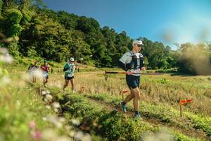 BIB: 
                            <button type="button" onclick="openModal(26688963)" class="btn btn-primary btn-sm float-right btn-popup" data-toggle="modal" data-target=".modal-high-quality">
                        <i class="fas fa-shopping-cart"></i> Add to Cart
                    </button>
                                            <button type="button" onclick="isThisMe(26688963, true)" class="btn btn-success btn-sm float-right btn-popup btn-isme hidden" data-toggle="tooltip" data-placement="bottom" title="นี่คือรูปของคุณใช่ไหม คลิกที่นี่เพื่อเอาเข้าอัลบั้ม">
                        <i class="fas fa-plus"></i> Add to album
                    </button>
                    <button type="button" onclick="isThisMe(26688963, false)" class="btn btn-warning btn-sm float-right btn-popup btn-isnotme hidden">
                        <i class="fas fa-ban"></i> Remove from album
                    </button>