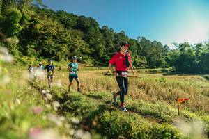 BIB: 
                            <button type="button" onclick="openModal(26637195)" class="btn btn-primary btn-sm float-right btn-popup" data-toggle="modal" data-target=".modal-high-quality">
                        <i class="fas fa-shopping-cart"></i> Add to Cart
                    </button>
                                            <button type="button" onclick="isThisMe(26637195, true)" class="btn btn-success btn-sm float-right btn-popup btn-isme hidden" data-toggle="tooltip" data-placement="bottom" title="นี่คือรูปของคุณใช่ไหม คลิกที่นี่เพื่อเอาเข้าอัลบั้ม">
                        <i class="fas fa-plus"></i> Add to album
                    </button>
                    <button type="button" onclick="isThisMe(26637195, false)" class="btn btn-warning btn-sm float-right btn-popup btn-isnotme hidden">
                        <i class="fas fa-ban"></i> Remove from album
                    </button>